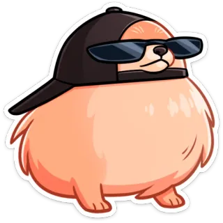 😎 개, 멋진, 선글라스, 모자, 동물, 귀여운, 만화, 애완동물 telegram sticker