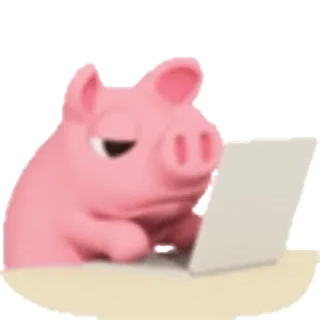 💻 돼지, 컴퓨터, 인터넷, 동물, 귀여운, 웃긴 whatsapp sticker