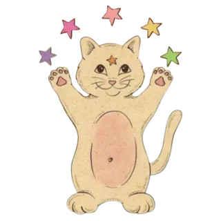 ✨ cat, stars, animal, cute, kitten telegram sticker