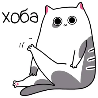 👋 Хоба Katze, lustig, Aufkleber, süß, Tier telegram sticker