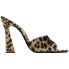 🐆
