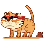 💩 mèo, động vật, võ thuật, tức giận, hổ, phim hoạt hình whatsapp sticker