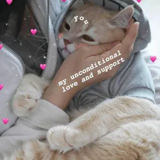 💖 you 
my unconditional
love and support แมว, ความรัก, สนับสนุน, ไม่มีเงื่อนไข, หัวใจ telegram sticker