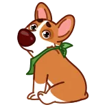 😒 dog, corgi, cute, animal, sticker telegram sticker