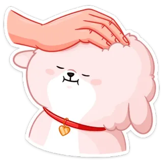 ☺️ chien, animal de compagnie, animal, mignon, kawaii, main, caresse, spitz nain telegram sticker