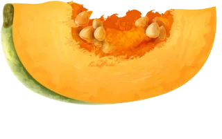 🥑 melón, fruta, comida, amarillo, rodaja telegram sticker