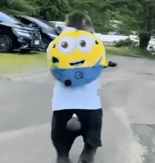 🌟 Minion minion, costume, funny, cartoon, despicable me telegram sticker