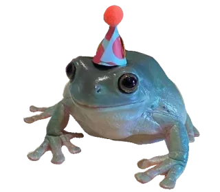 ❤️ rã, chapéu de festa, animal, fofo, celebração whatsapp sticker