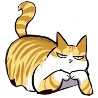 😎 kucing, binatang, hewan peliharaan, marah, kucing telegram sticker