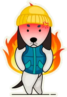 😡 หมา, โกรธ, ไฟลุก, ฤดูหนาว, หมวกไหมพรม, การ์ตูน telegram sticker
