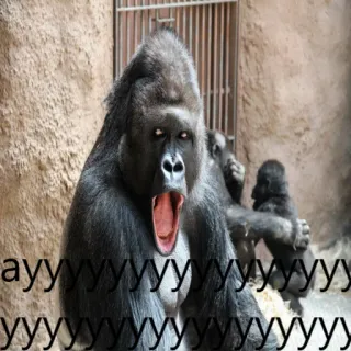 кринж гориллы telegram stickers