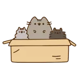 😸 Pusheen cat, box, cute, adorable, pusheen, animated telegram sticker