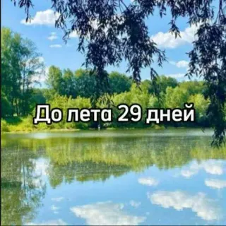 ☀️ До лета 29 дней verano, días, naturaleza, lago, cuenta atrás telegram sticker