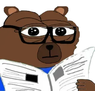 ➰ oso, periódico, meme, leyendo, animal, dibujo animado telegram sticker