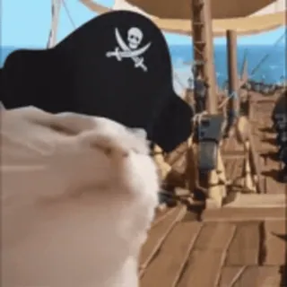 🏴☠️ pirata, calavera, huesos cruzados, sombrero, animal, gato whatsapp sticker