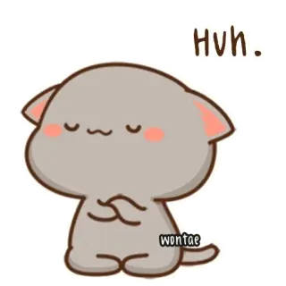 🥺 Huh. gato, fofo, adesivo, animal, confuso whatsapp sticker