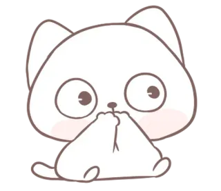 ⭐ 猫, 可爱, 迷人, 动物, 小猫, 白色 whatsapp sticker