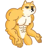 Doge telegram stickers