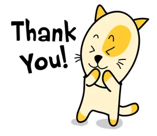🎁 Thank You! 고양이, 감사합니다, 인사, 귀여운, 동물 telegram sticker