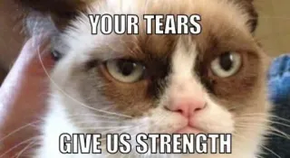 😢 Grumpy Cat YOUR TEARS GIVE US STRENGTH 表情包, 不爽猫, 幽默, 猫, 讽刺, 搞笑 whatsapp sticker