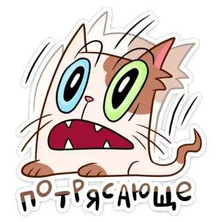 🤩 потрясающе Katze, überrascht, verängstigt, Cartoon, Aufkleber, russisch telegram sticker