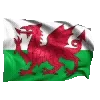 🏴