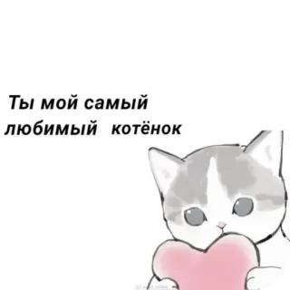 🐱 Ты мой самый любимый котёнок 猫, 子猫, 愛, ハート, 可愛い, ロシア, ペット telegram sticker