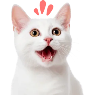 😀 gato, gato branco, chocado, surpreso, fofo, animal, mamífero telegram sticker