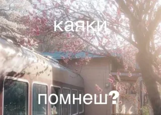 🌟 каяки
помнеш? 카약, 러시아어, 질문, 봄, 자연 whatsapp sticker