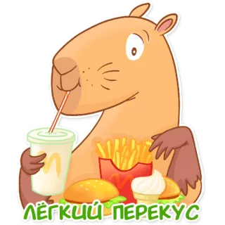 🍔 ЛЁГКИЙ ПЕРЕКУС capybara, makanan cepat saji, McDonalds, camilan, burger, kentang goreng, kartun telegram sticker