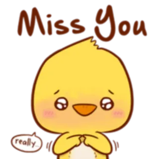 💭 Miss You really triste, fofo, pássaro, pintinho, saudades, animado, desenho animado telegram sticker
