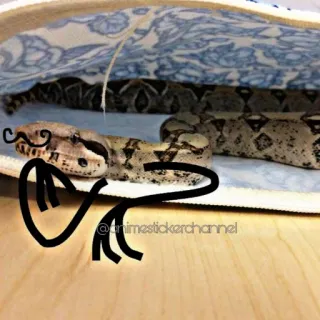 🤔 @animestickerchannel schlange, tier, reptil, schnurrbart whatsapp sticker