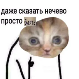 👍 даже сказать нечего просто блять Meme, Katze, Lustig, Russisch, Fluchen, Beleidigend telegram sticker