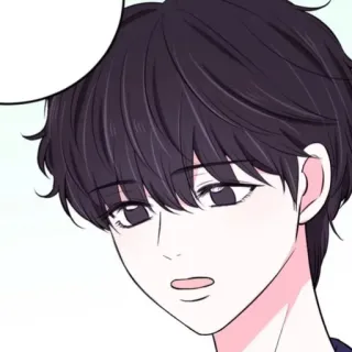📹 telegram sticker