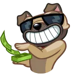 🐶