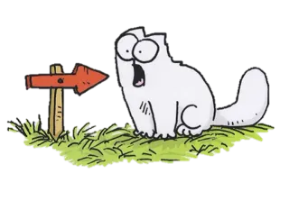 👉 cat, scared, arrow, direction, funny, cartoon whatsapp sticker