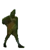 🌵