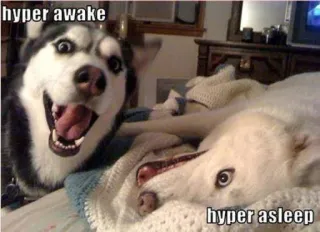 😀 hyper awake hyper asleep telegram sticker