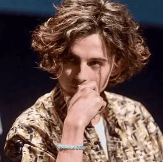 📯 Timothée Chalamet acteur, célébrité, personne, portrait, homme telegram sticker