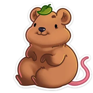 ☺️ Quokka, Tier, niedlich, Aufkleber, Cartoon whatsapp sticker