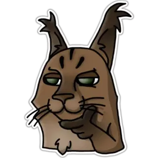 🤔 คาราคัล, แมว, มีม, สติกเกอร์, สัตว์ telegram sticker