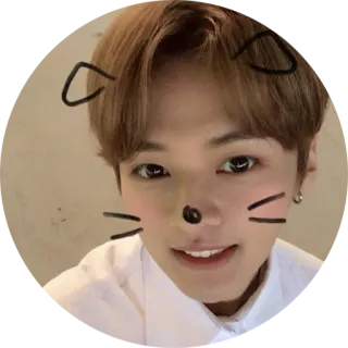 😺 cat, ears, cute, face, person telegram sticker
