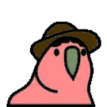 🦜 bird, parrot, hat, animal, funny, cute telegram sticker