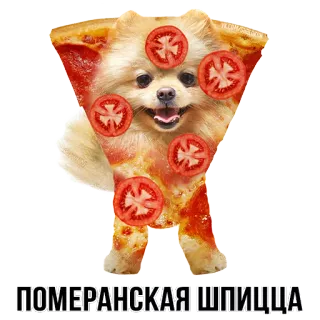 🐶 ПОМЕРАНСКАЯ ШПИЦЦА dog, pizza, pomeranian, food, cute, animal whatsapp sticker