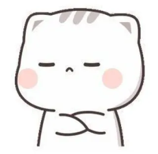 🧉 cat, animal, cute, sad, gray, white telegram sticker