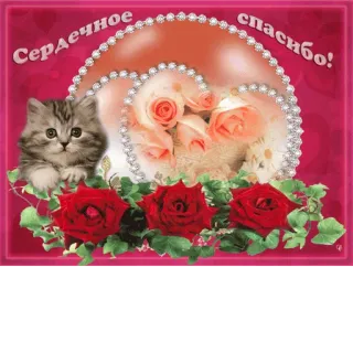 ♥ Сердечное спасибо! cat, kitten, roses, thank you, floral, greeting, decorative telegram sticker