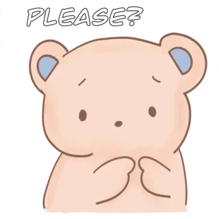 🙏 PLEASE? cute, bear, pleading, begging, request telegram sticker