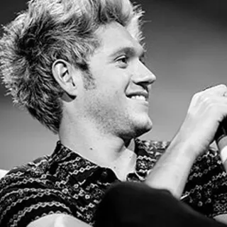 🌙 Niall Horan Sänger, One Direction, Promi, Porträt, Schwarzweiß telegram sticker