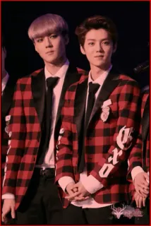 ♥️ EXO K-поп, Бойз-бенд, Музыка, Группа whatsapp sticker