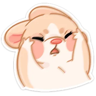 😱 hamster, mignon, kawaii, animal, énervé, épuisé telegram sticker
